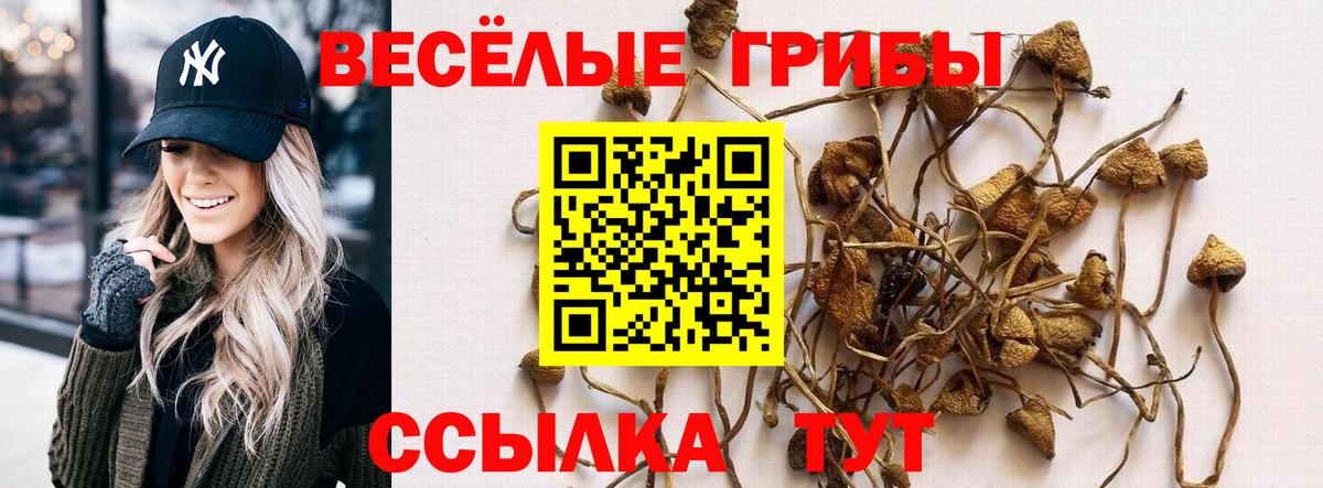 Псилоцибиновые грибы Cubensis  Вход с VPN  где купить наркоту  Коломна 